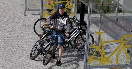 Lawinowy wzrost kradzieży rowerów. To już prawdziwa plaga
