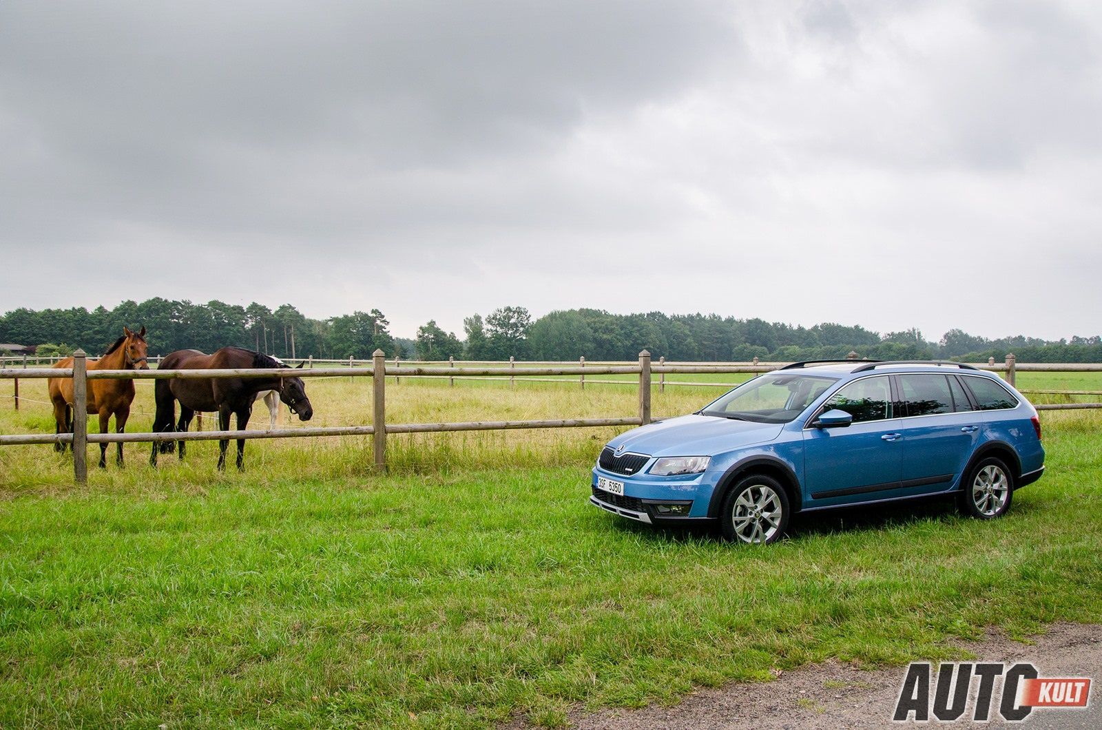 Škoda Octavia Scout 2,0 TDI 184 KM DSG – pierwsza jazda [galeria] 13