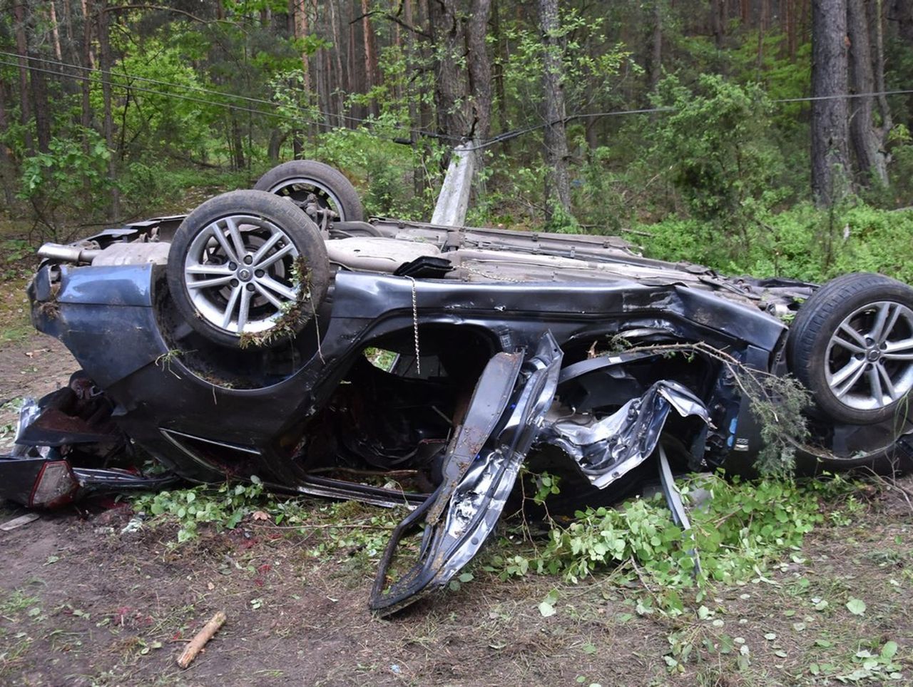 Uderzyli w łosia, drzewo i betonowy słup. Nie żyją dwie osoby