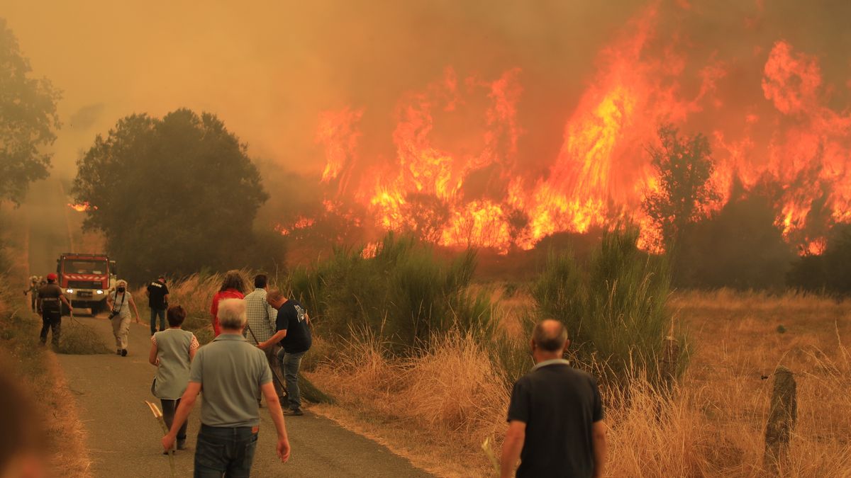Pożary trawią Europę. Spłonęło już milion hektarów