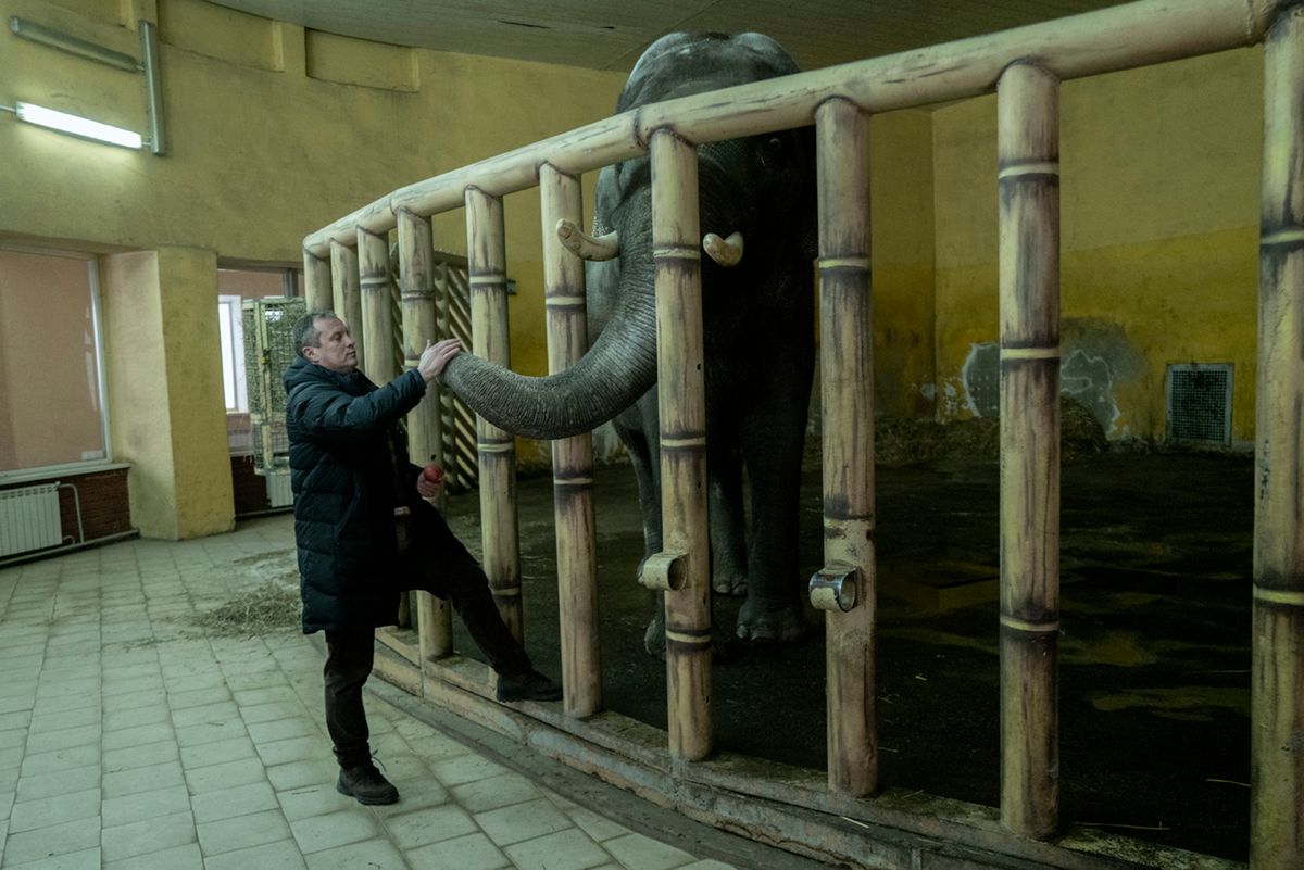 Grand Press Photo 2022: Najlepsze polskie zdjęcia prasowe zapierają dech w piersi 10