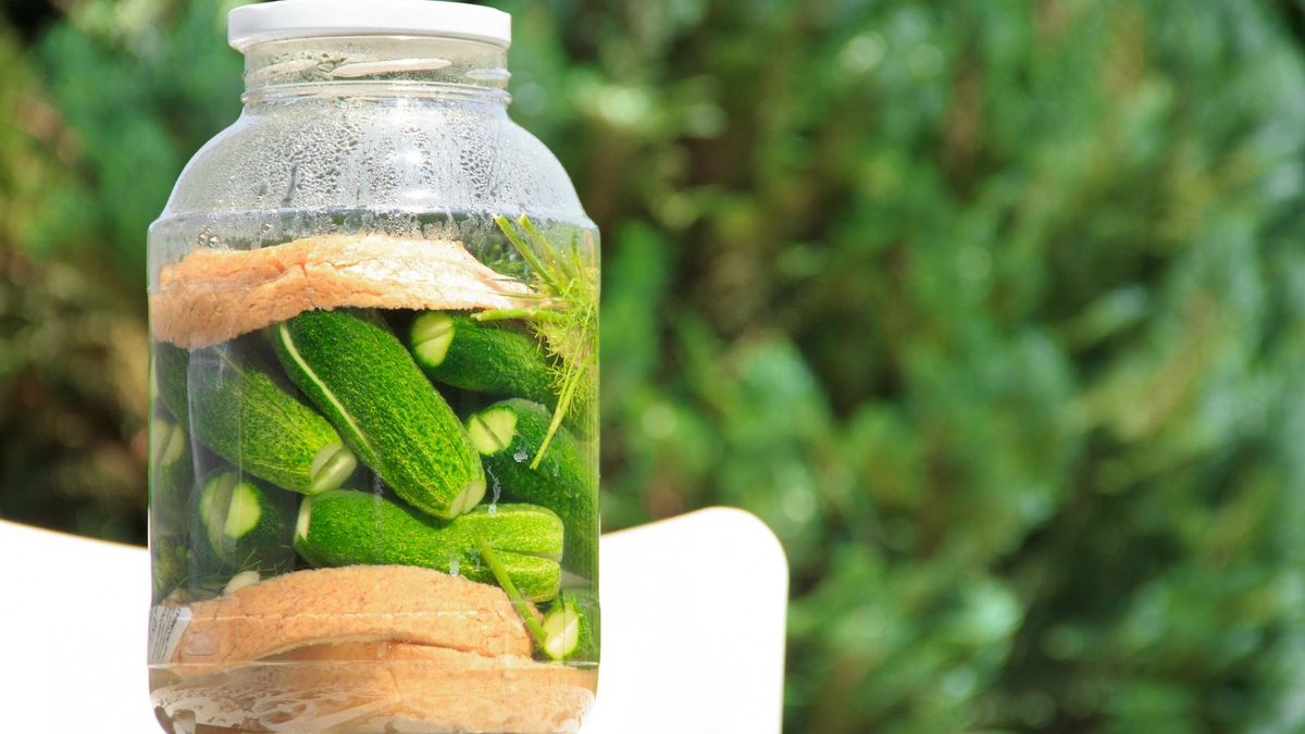 Ogórki małosolne są delikatniejsze od ogórków kiszonych