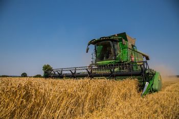 Niskie ceny zbóż dobijają rolników. Izby żądają działań