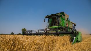 Niskie ceny zbóż dobijają rolników. Izby żądają działań