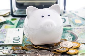 Pierwsze spadki od półtora roku. O tyle zmalały aktywa Polaków w PPK