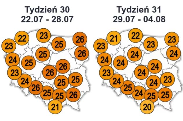 W kolejnych tygodnia ma być nieco chłodniej