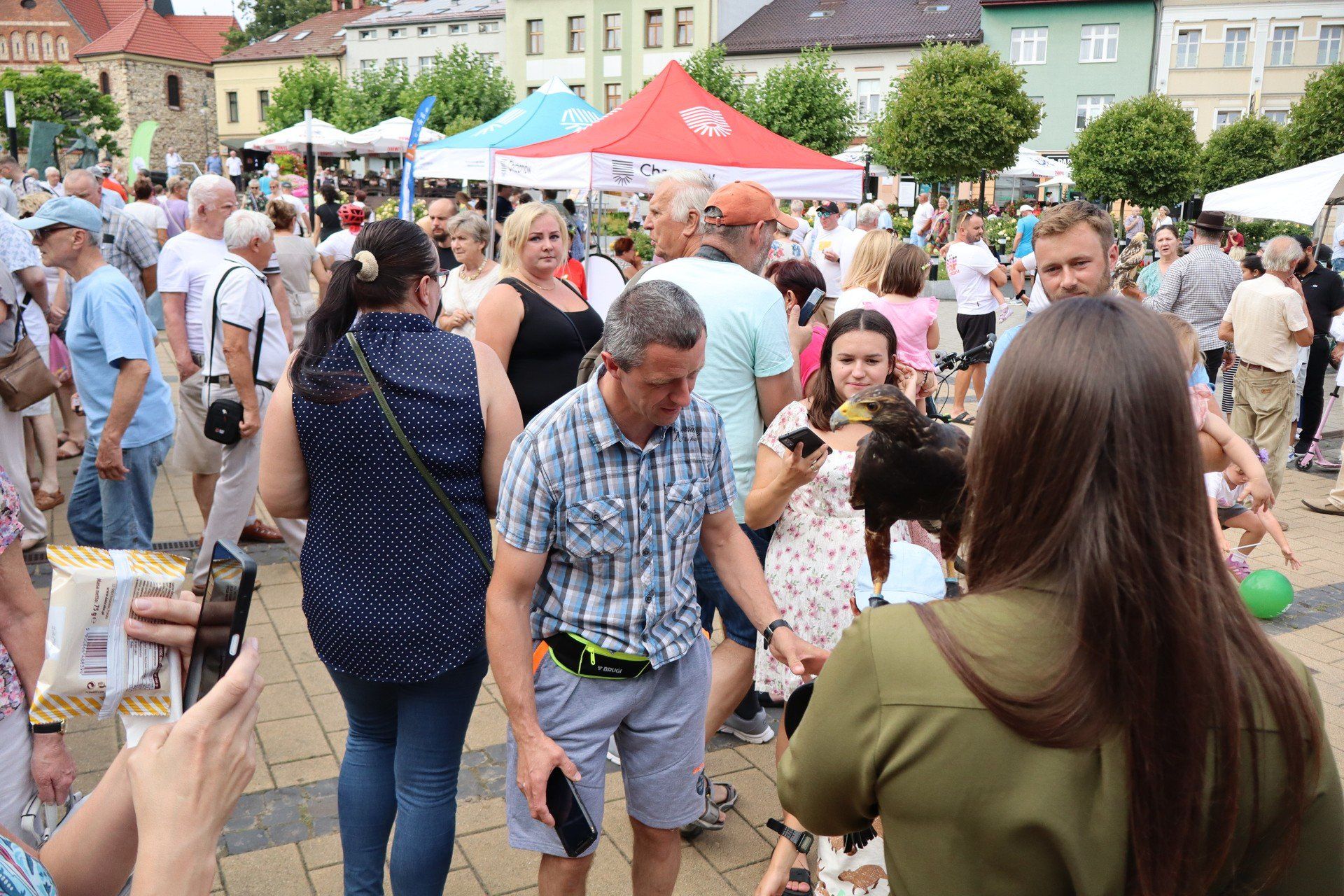 Powiatowe Święto Miodu w Chrzanowie