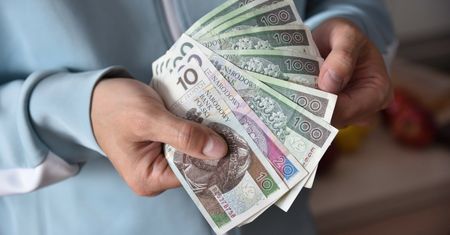 "Zawodowy dłużnik". KRD: na początku płaci nawet przed terminem