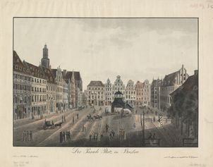 Zęby zdradziły, co jadano we Wrocławiu 250 lat temu