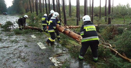 Lubelskie: Silny wiatr uszkodził linie energetyczne: 37 tys. odbiorców bez prądu