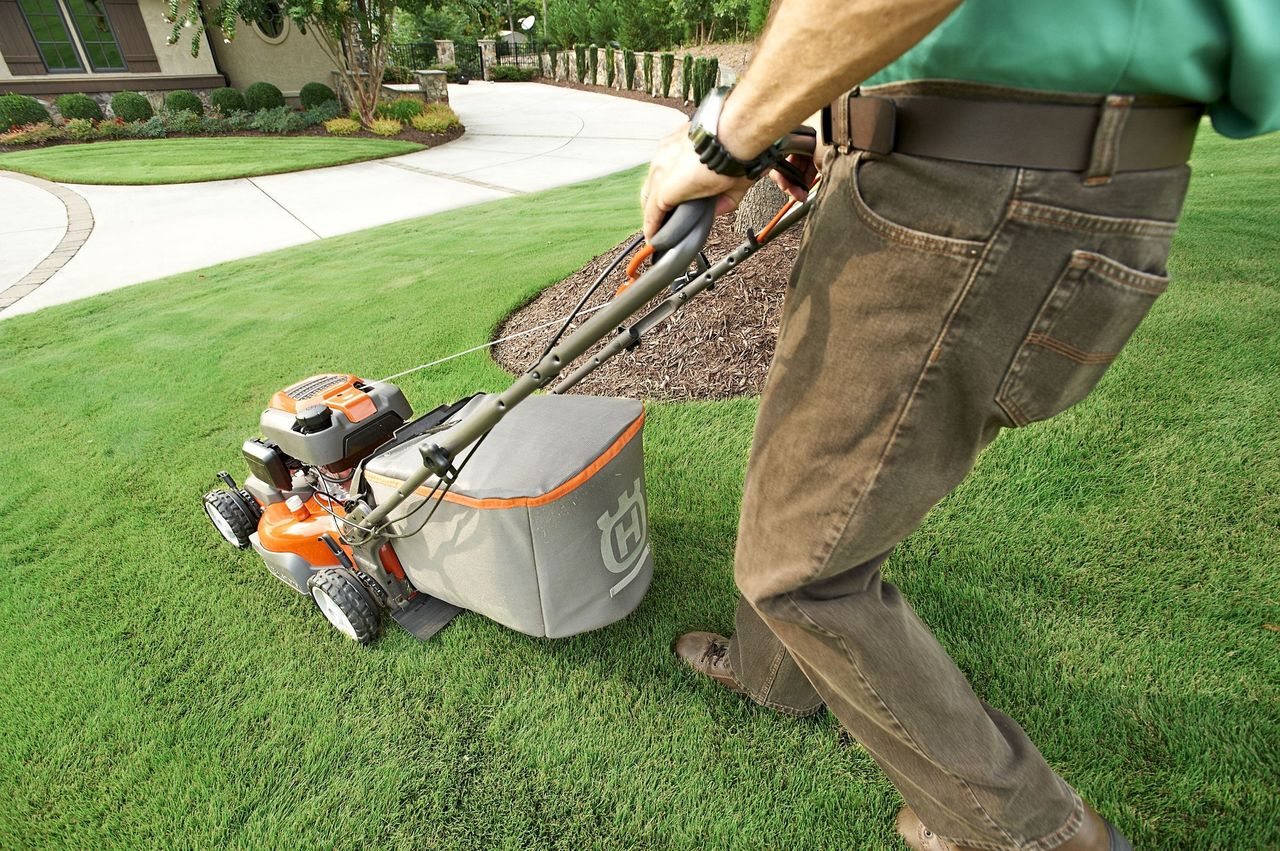 Mowing frequency: Experts' tips on maintaining a healthy, weed-free lawn
