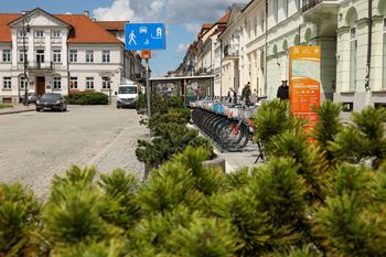 Nowe nasadzenia w centrum Płocka. Ulica Grodzka i Plac Narutowicza zyskają więcej zieleni!
