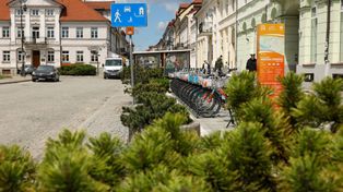 Nowe nasadzenia w centrum Płocka. Ulica Grodzka i Plac Narutowicza zyskają więcej zieleni!
