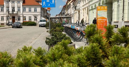 Nowe nasadzenia w centrum Płocka. Ulica Grodzka i Plac Narutowicza zyskają więcej zieleni!