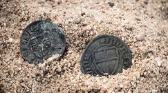 Skarb obok Torunia. Znaleziono 99 monet z czasów krzyżackich