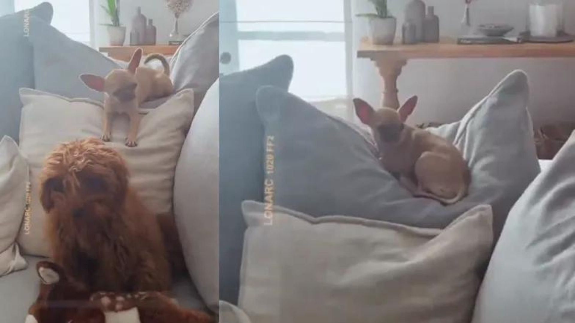 Tak wygląda luksusowa willa w środku lasu Mariny i Wojtka Szczęsnych