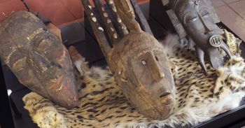 Afryka w sercu Olkusza. Niezwykłe muzeum, które trzeba zobaczyć. Tu każdy eksponat opowiada swoją historię