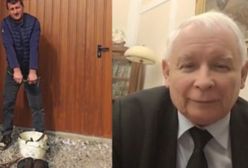 To jest hit w sieci. "Duety" na TikToku z Kaczyńskim