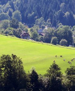 Miało być schronisko, będą apartamentowce? Skandal w Beskidach