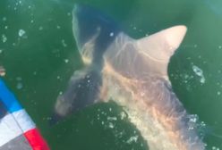 Bestia na wędce. Pokazał, co złowił w trakcie zawodów