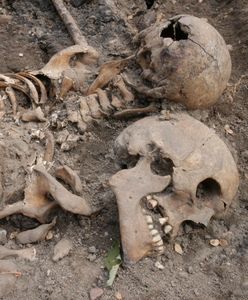 Dramatyczne odkrycie w Lubaniu. Ciała w masowym grobie były ułożone chaotycznie