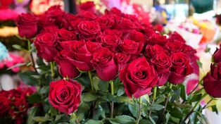 Wrocław: Jakie kwiaty na walentynki i za ile