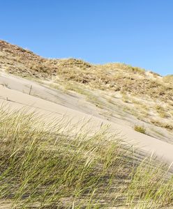 Walczą o polskie wydmy. Inwestycja za 27 mln zł w pomorskie plaże
