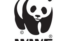 Grupa Nowy Ład przygotuje kampanię "Godzina dla Ziemi WWF"