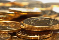 Chcą likwidacji tych monet. Petycja trafiła do prezydenta