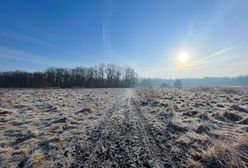 Prognoza pogody na 25 i 26 listopada. Zmienne warunki atmosferyczne