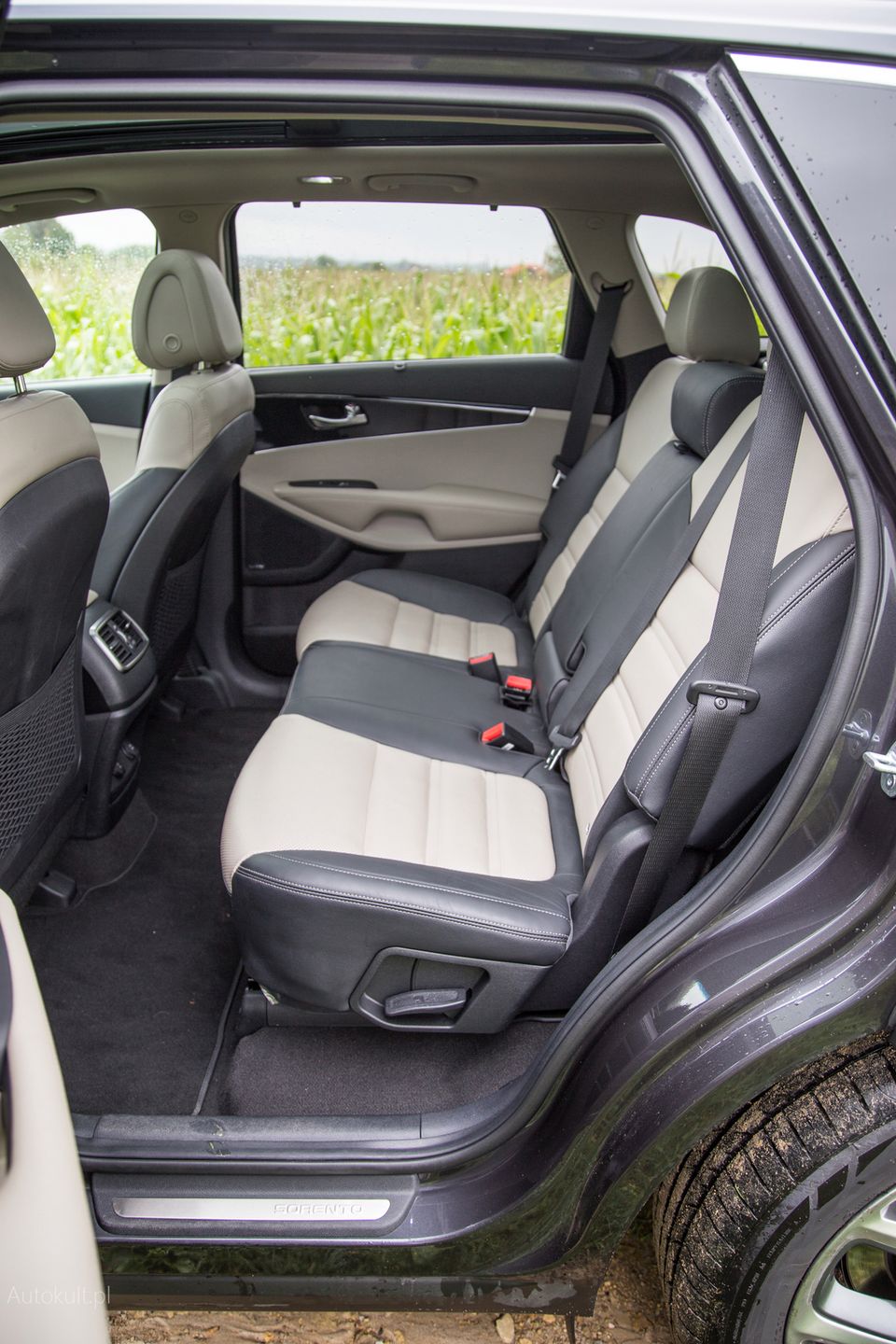 Kia Sorento 2.0 4WD AT XL (2017) (fot. Mateusz Żuchowski)