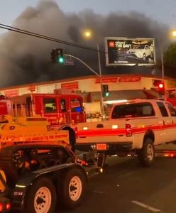 Tragedia w święta. Zginęła kobieta i dwa psy