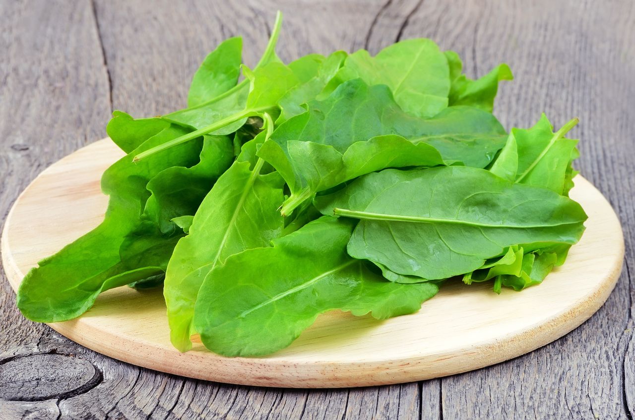 Sorrel: The ancient super green reclaiming kitchens today