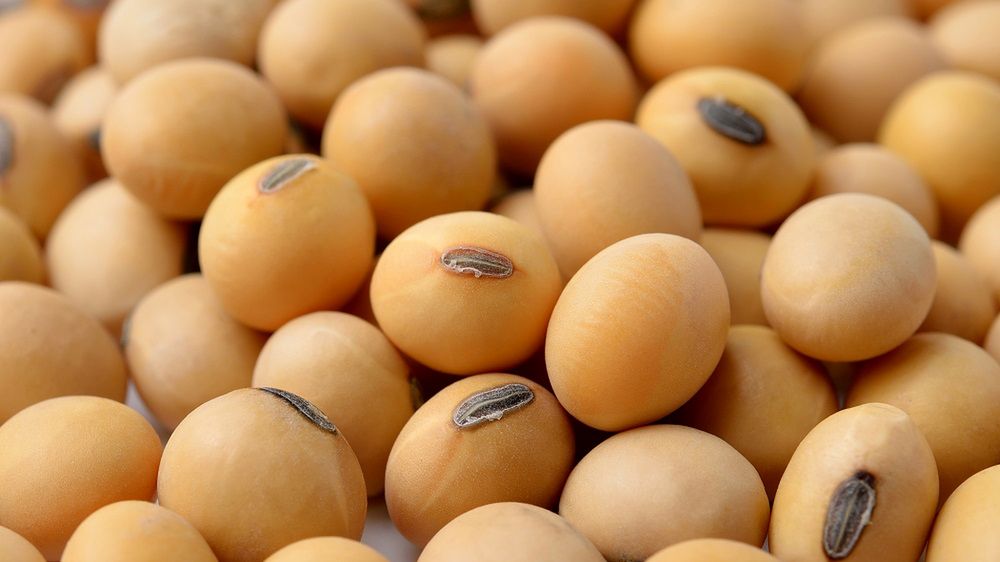 Jak Japonki zachowują szczupłą figurę? Przestrzegają prostych zasad