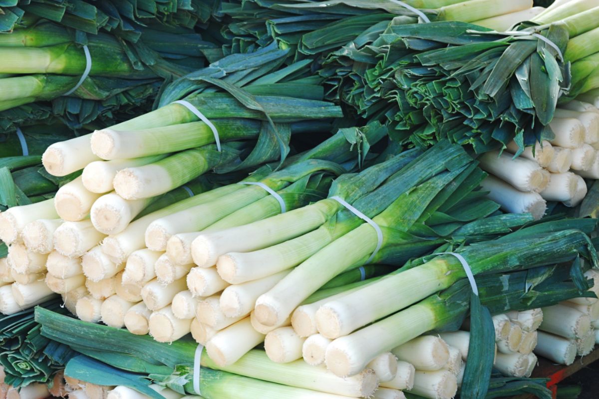 Leek is a vegetable that has been used in natural medicine for centuries.