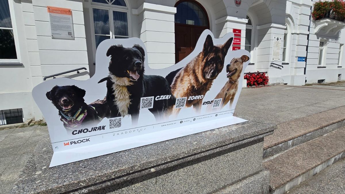 Podopieczni płockiego schroniska przed płockim ratuszem 