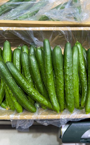 Więzienie za ogórki? Nowe przepisy mają wprowadzić surowe kary