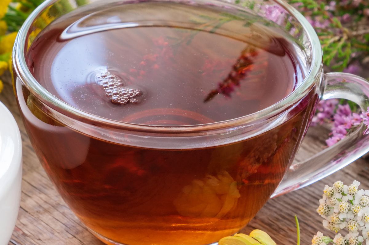 Discover the secret sleep elixir: Harnessing hop power