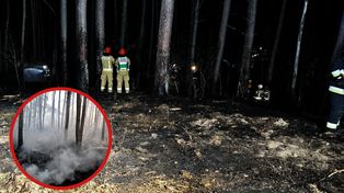 Pożar lasu w Kłodzie. Strażacy walczyli 4,5 godziny