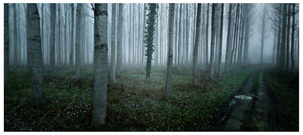Najpiękniejsze fotografie z Google Street View 2
