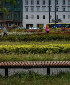 Warszawa. Repliki ławek z lat 60-tych na pl. Defilad