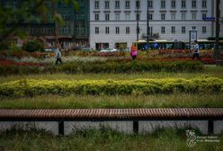 Warszawa. Repliki ławek z lat 60-tych na pl. Defilad