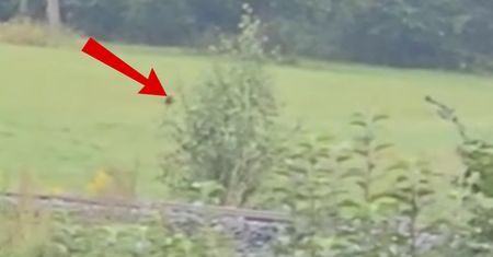 Niosą się ujęcia z Dolnego Śląska. Apele o "szczególną ostrożność"