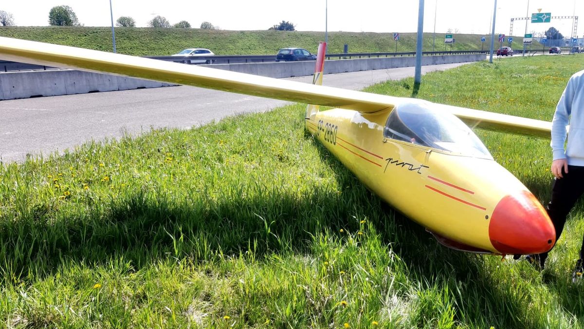 Taki widok przy autostradzie z pewnością należy do rzadkości