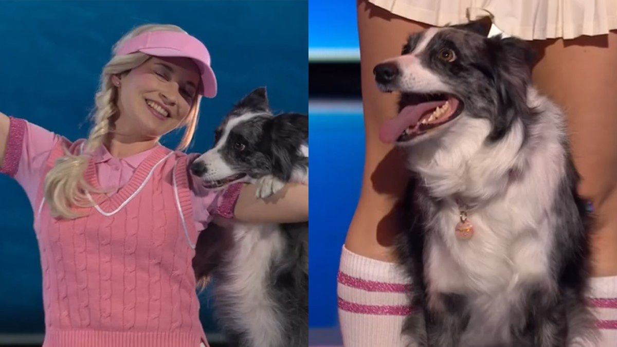 Widzowie "Mam Talent!" domagają się ZMIAN. Oburzenie po półfinale show, poszło o psa