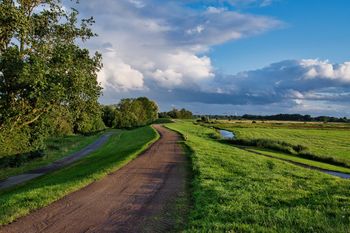 Będzie kolejna atrakcja dla mieszkańców Leszna i nie tylko. Ścieżka wokół zbiornika w Zaborowie coraz bliżej
