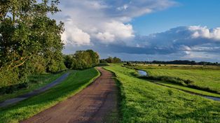 Będzie kolejna atrakcja dla mieszkańców Leszna i nie tylko. Ścieżka wokół zbiornika w Zaborowie coraz bliżej