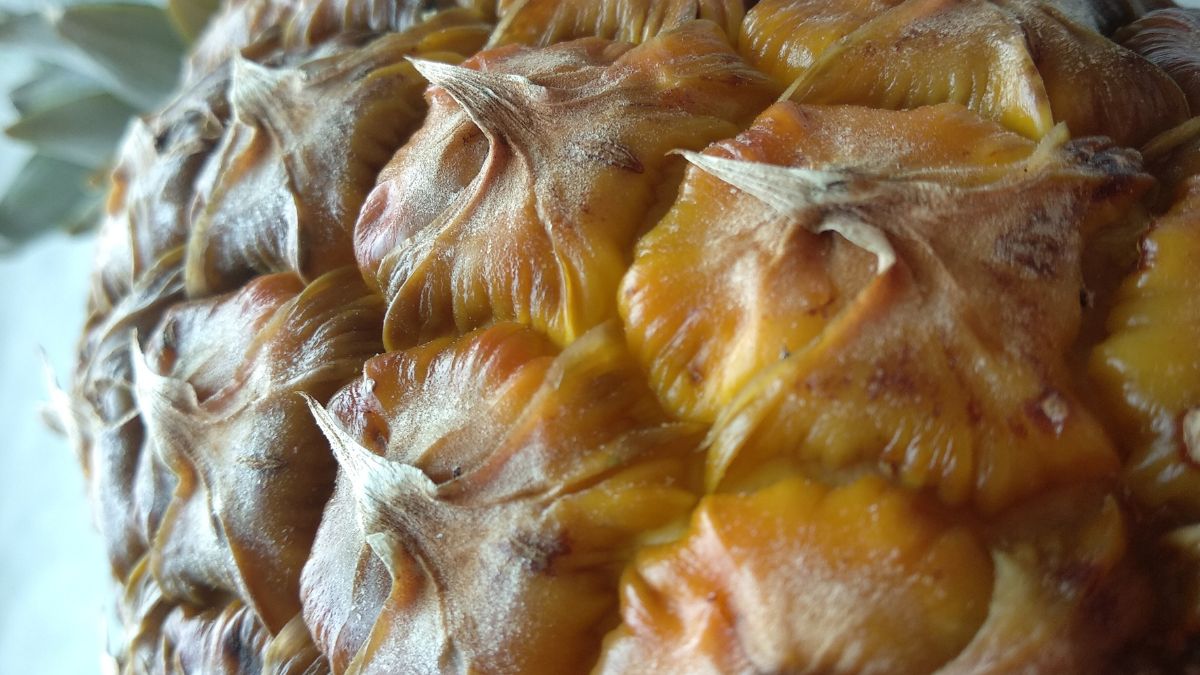 Ta skórka sprawdzi się do herbaty