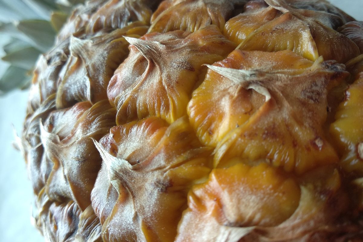 Większość wyrzuca, a ja zalewam wodą i piję. Pomaga pozbyć się oponki