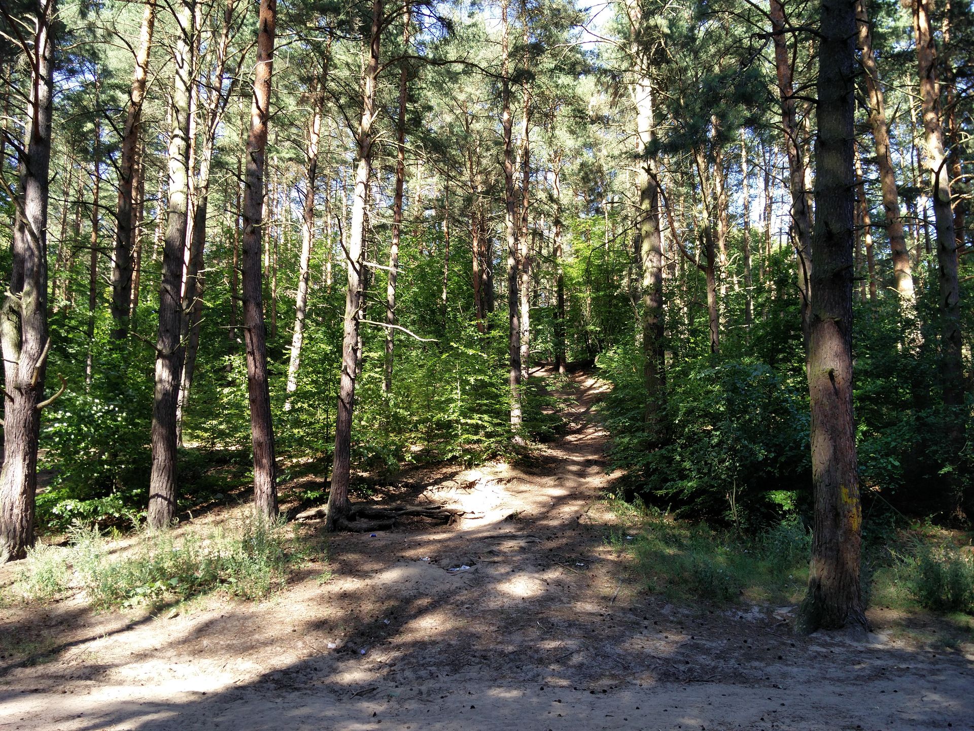OnePlus 2 – test i recenzja "zabójcy flagowców" 41